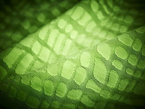 日用百货 生活中的精致与实用